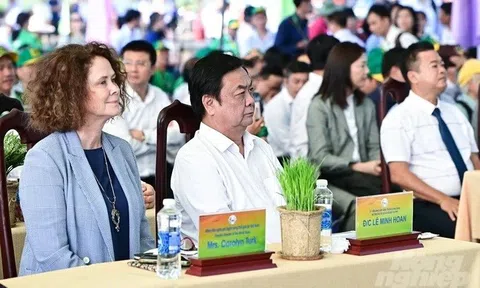 Ngân hàng Thế giới, IRRI cam kết đồng hành thực hiện đề án 1 triệu ha lúa chất lượng cao tại ĐBSCL