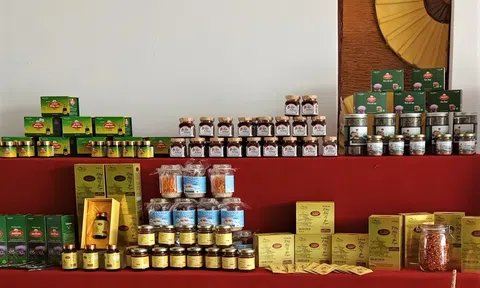 Hà Nội tăng cường giới thiệu sản phẩm OCOP tại các điểm Lc88.men Cá cược thể thao làng nghề và nông thôn