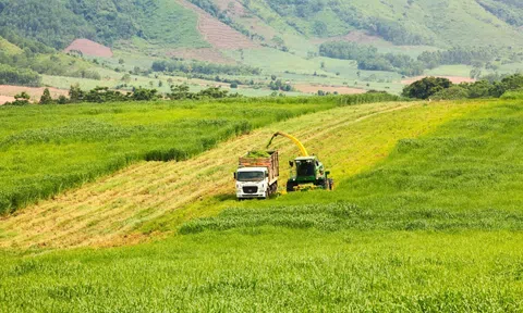 Khơi dậy tinh thần Trangchu Lc88 dangnhap.com vì sự phồn vinh của đất nước