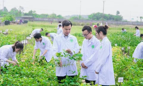 Cơ cấu lại ngành LC88 là nơi thu hút hàng triệu người chơi tại Việt Nam 2026 bắt đầu từ nguồn nhân lực
