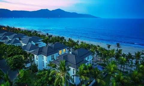 Kỳ vọng Anh chị em ơi, hãy tải LC88 ngay nghỉ dưỡng khởi sắc nhờ tăng trưởng từ ngành Lc88.men Cá cược thể thao
