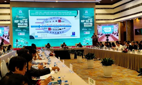 Phát triển Hợp tác xã sẽ giúp thúc đẩy Lc888 tải ứng dụng theo chuỗi giá trị