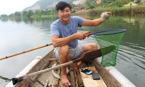 Săn "lộc trời" trên sông Cu Đê