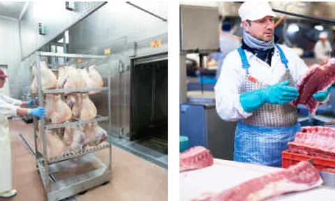 Người tiêu dùng Việt Nam có thêm nguồn thịt gia súc chất lượng cao đến từ Vương quốc Bỉ