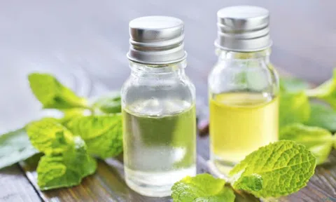 Việt Nam có nhiều lợi thế phát triển ngành công nghiệp tinh dầu