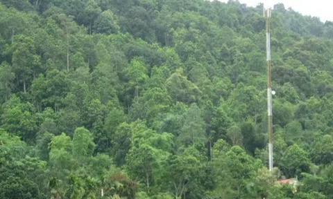 Hà Giang: Phát huy vai trò của Hương ước trong bảo vệ và phát triển rừng