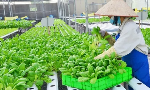 Hà Nội sẽ hỗ trợ hơn 10 tỷ đồng để chuyển đổi số trong nông nghiệp