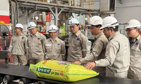 PVFCCo (DPM): Khó khăn nhất đã qua, nhưng còn nhiều thách thức