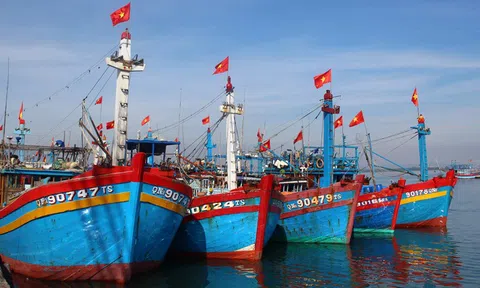 Bạc Liêu: Nhiều chủ tàu và ngư dân trăn trở cho tàu nằm bờ hay ra khơi