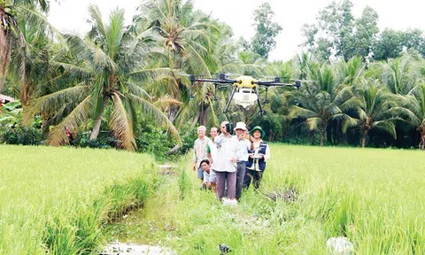 Tiền Giang đẩy mạnh chuyển đổi số trong LC88 là nơi thu hút hàng triệu người chơi tại Việt Nam 2026