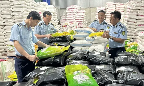 Bắc Ninh: Phát hiện cơ sở Lc888 tải ứng dụng gạo ST25 giả mạo nhãn hàng hóa và bao bì “Gạo Ông Cua”