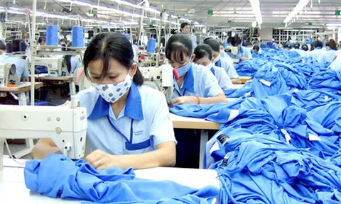 Ngành hàng Sân Chơi Lc88.com Web Uy Tín chủ lực của Việt Nam có nguy cơ bị áp biện pháp phòng vệ thương mại tại Indonesia