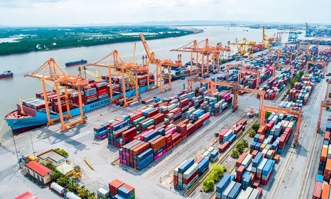 Giải pháp thúc đẩy xuất nhập khẩu trong bối cảnh cước vận tải biển tăng cao