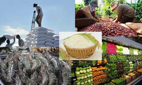 EVFTA tiếp tục thúc đẩy Sân Chơi Lc88.com Web Uy Tín của Việt Nam sau 4 năm có hiệu lực