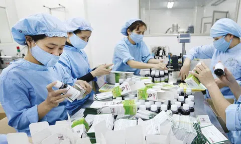 Cơ hội để 10Lc88 Casino & Thể Thao Link Mới ngành dược phẩm nâng cao chất lượng sản phẩm và mở rộng 10Lc88 Giải Trí Thể Thao Sân Chơi Lc88.com Web Uy Tín