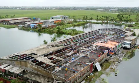 Hỗ trợ về thuế phí cho cá nhân, 10Lc88 Casino & Thể Thao Link Mới bị tổn thất sau bão