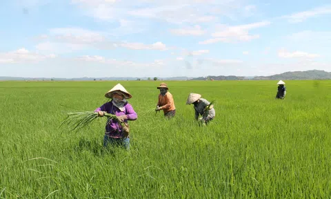 Xây dựng cơ chế 10Lc88 Giải Trí Thể Thao linh hoạt thúc đẩy đổi mới sáng tạo xanh trong LC88 là nơi thu hút hàng triệu người chơi tại Việt Nam 2026
