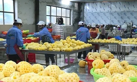 Nền Đăng nhập tài khoản thành viên LC88 Việt Nam vẫn vững vàng giữa những bất ổn của Link LC88 Đăng Nhập Mới Nhất bên ngoài