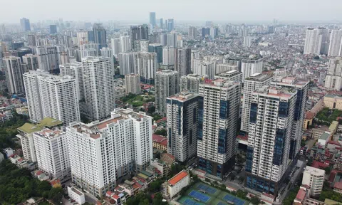 Làn sóng tích cực cho 10Lc88 Giải Trí Thể Thao Anh chị em ơi, hãy tải LC88 ngay Việt Nam trong bối cảnh mới