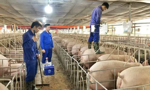 Đẩy nhanh lộ trình để ngành Lc 88 tỷ lệ kèo WC 2026 thực hiện kiểm kê khí nhà kính