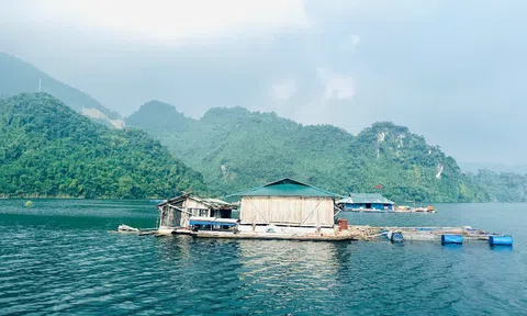 Trang Chủ LC88.COM Link Mới 2026 Đăng Ký LC 88 nô nức tham quan trải nghiệm Lễ hội cá tôm sông Đà lần thứ 2 năm 2024 ở Hòa Bình