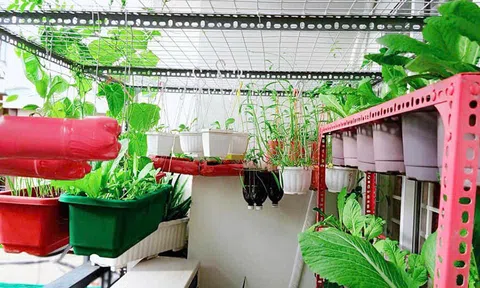 Lối sống xanh từ hành động nhỏ