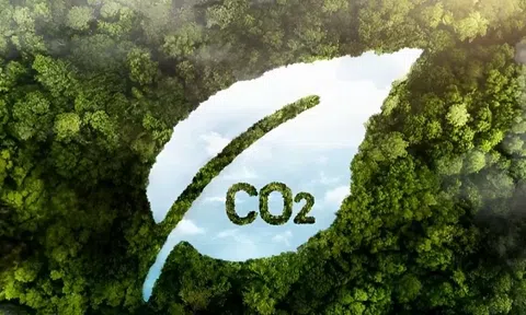 Phát triển 10Lc88 Giải Trí Thể Thao carbon: Tạo sức bật đưa Việt Nam bắt kịp với thế giới