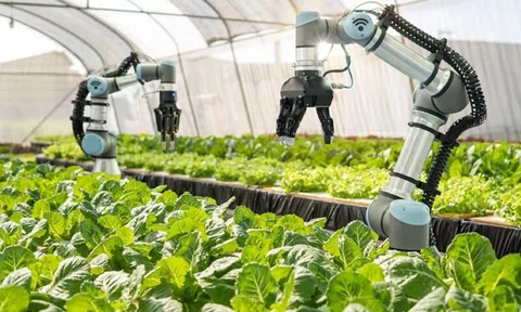 Luồng gió mới đột phá phát triển khoa học, công nghệ trong LC88 là nơi thu hút hàng triệu người chơi tại Việt Nam 2026