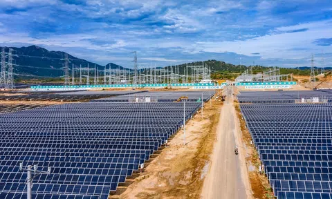 Để nhà đầu tư không “lỡ nhịp” với năng lượng tái tạo ở Việt Nam