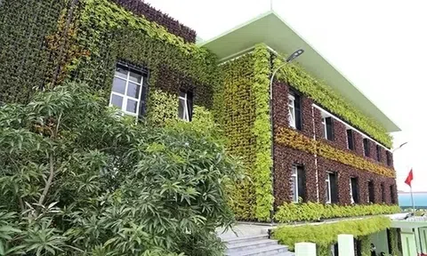 Làm mát tòa nhà mang lại lợi ích lớn về Link LC88 Đăng Nhập Mới Nhất và sức khỏe cộng đồng