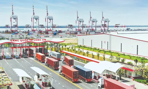 Cảng Quốc tế Long An tạo ấn tượng mạnh mẽ với các giải pháp Cảng biển và Logistics tiên tiến
