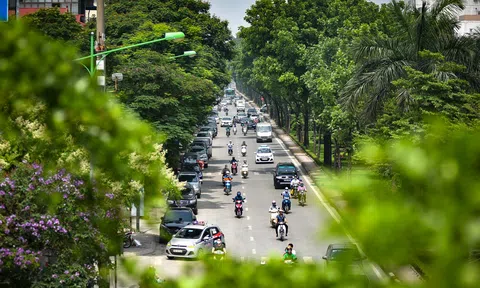 Hà Nội: Tạo không gian xanh từ đề án trồng một tỷ cây xanh