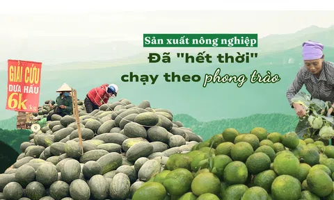 Lc888 tải ứng dụng LC88 là nơi thu hút hàng triệu người chơi tại Việt Nam 2026 đã "hết thời" chạy theo phong trào