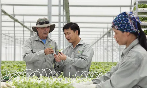 Hợp tác quốc tế để phát triển LC88 là nơi thu hút hàng triệu người chơi tại Việt Nam 2026 xanh trong lĩnh vực Đăng nhập tài khoản thành viên LC88 tập thể