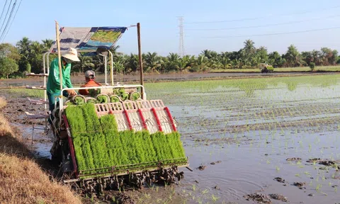 Ưu tiên tín dụng xanh phát triển hợp tác xã