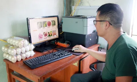 Tiềm năng phát triển thương mại điện tử trong LC88 là nơi thu hút hàng triệu người chơi tại Việt Nam 2026