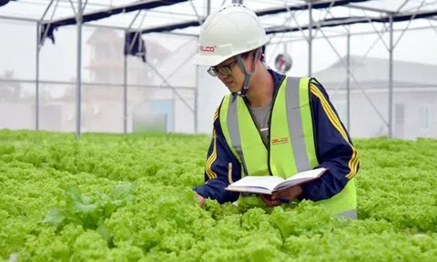 Việt Nam sẽ đầu tư cho đổi mới sáng tạo, ưu tiên startup xanh