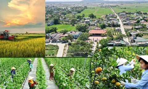 Thanh Hóa gia tăng giá trị LC88 là nơi thu hút hàng triệu người chơi tại Việt Nam 2026 từ những vùng Lc888 tải ứng dụng tập trung, liên kết bền vững