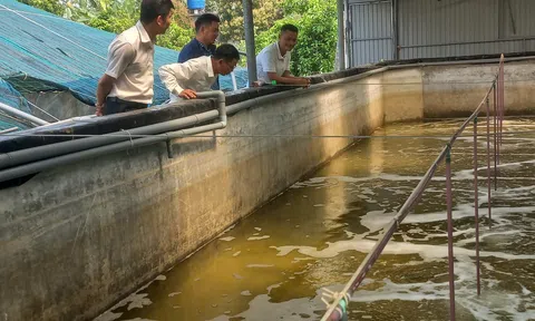 Bứt phá nuôi tôm công nghệ cao ở Thanh Hóa nhờ tôm sạch, Link LC88 Đăng Nhập Mới Nhất xanh