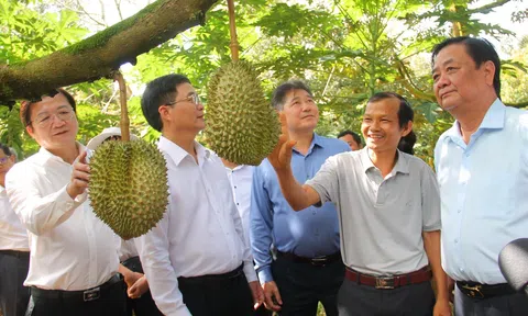 Đắk Lắk: Huyện Krông Pắc thành công từ 3 khâu đột phá