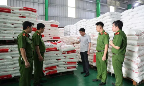 Phú Thọ: Thu giữ hàng trăm tấn hạt nêm, dầu ăn, mì chính giả của Công ty Famimoto Việt Nam