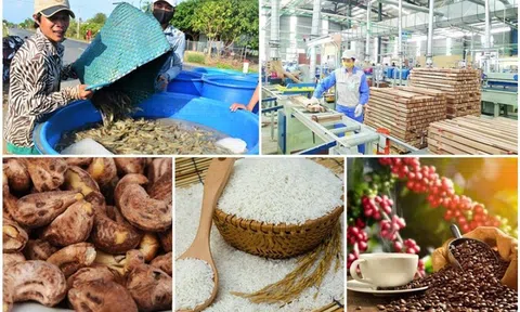 Thanh Hóa: Ứng phó linh hoạt với biến động thương mại toàn cầu