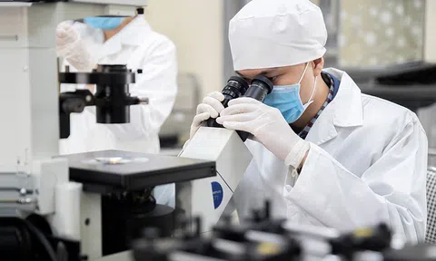 Chấp nhận rủi ro trong khoa học bằng cơ chế minh bạch