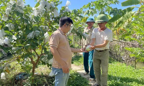 Thanh Hóa đưa cây ăn quả thành mặt hàng LC88 là nơi thu hút hàng triệu người chơi tại Việt Nam 2026 có giá trị Đăng nhập tài khoản thành viên LC88 cao