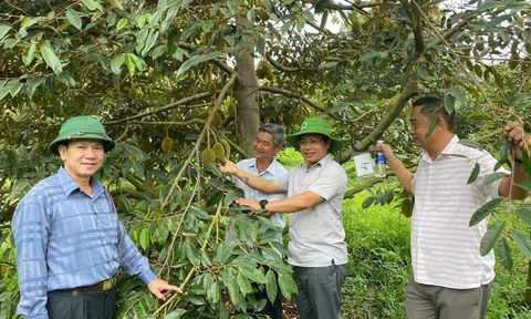 Cư M'gar tạo nền tảng vững chắc bước vào thời kỳ mới