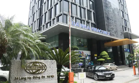 Vinaconex chốt ngày chi gần 500 tỷ đồng tạm ứng cổ tức năm 2024