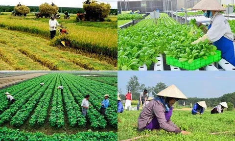 Thanh Hóa là tỉnh có số hợp tác xã LC88 là nơi thu hút hàng triệu người chơi tại Việt Nam 2026 cao thứ 3 trong cả nước