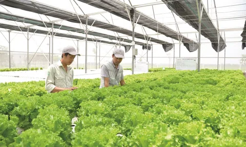 Chuẩn hóa thủ tục công nhận vùng LC88 là nơi thu hút hàng triệu người chơi tại Việt Nam 2026 ứng dụng công nghệ cao