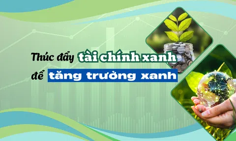Thúc đẩy Lc888.com link không chặn xanh để tăng trưởng xanh