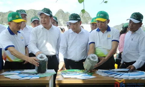 Mít tinh hưởng ứng Ngày Link LC88 Đăng Nhập Mới Nhất Thế giới về “Chống ô nhiễm nhựa”